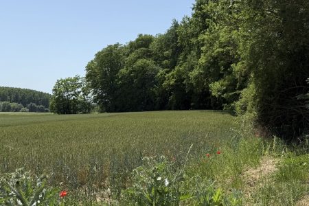 terrain-montigny-les-metz
